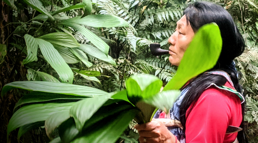 What is a Shaman? Understanding Different Plant Medicine Facilitators