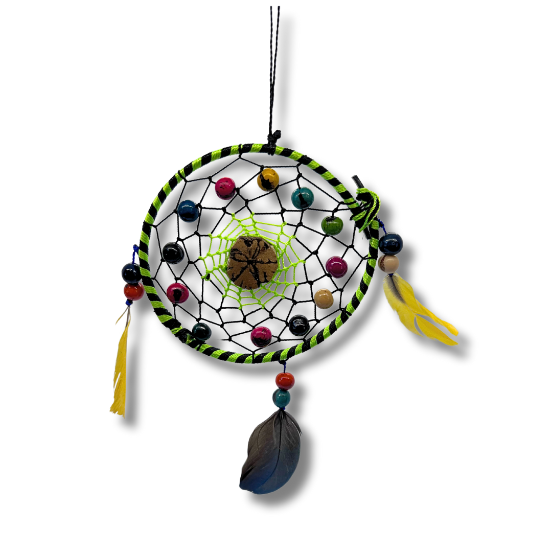 Amazonian dreamcatcher handmade with ayahuasca wood and natural feathers