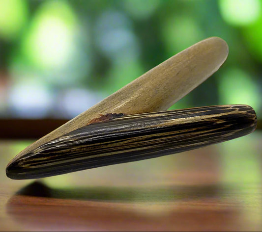 Traditional Amazonian Kuripe applicator tool