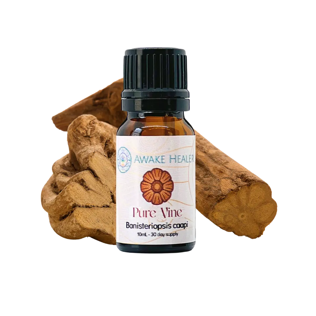 Pure Vine™ Ayahuasca (Banisteriopsis Caapi) Awake Healer