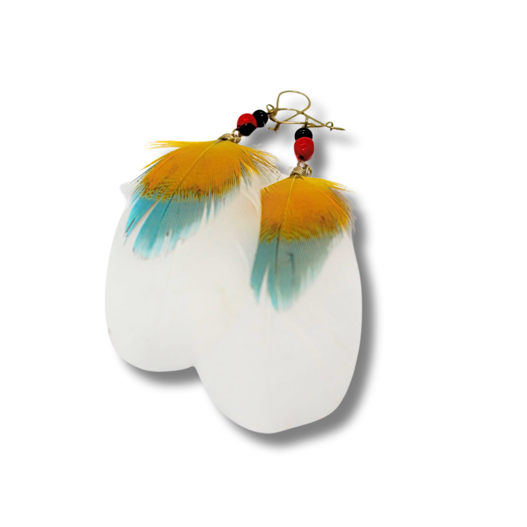 Feather Earrings- Shipibo Tribe (Peru)