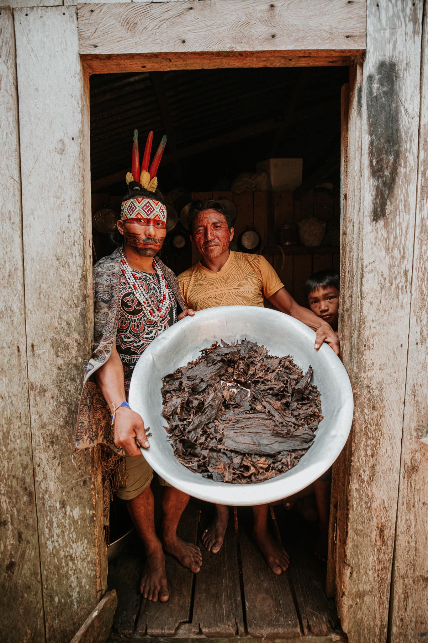 Bundle hape: Kuripe of your choice + Hape Alfavaca Awake Healer