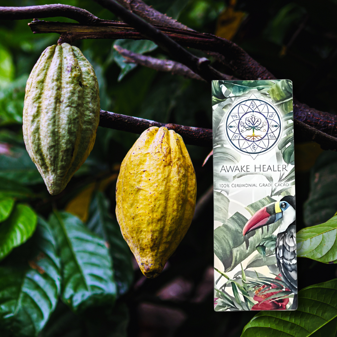 Ceremonial Cacao Ritual Bundle – 1oz Criollo Arriba Nacional Cacao + Handcrafted Wooden Cup Awake Healer