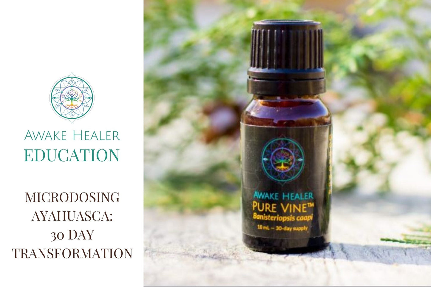 COURSE - Microdosing Ayahuasca: 30 day Transformation Awake Healer