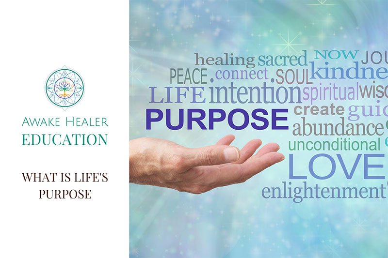 Course - What is Life’s Purpose? Awake Healer