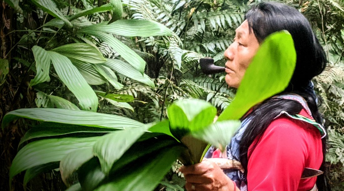 What is a Shaman? Understanding Different Plant Medicine Facilitators