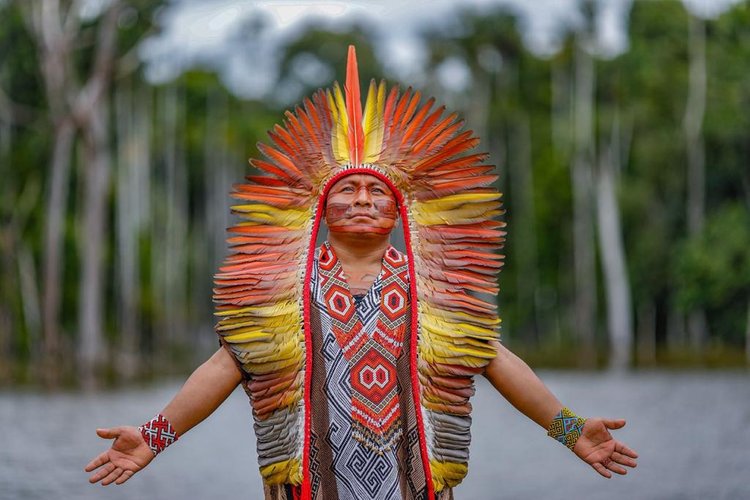 Awake Healer | Indigenous Hapé, Cacao & Ayahuasca Vine