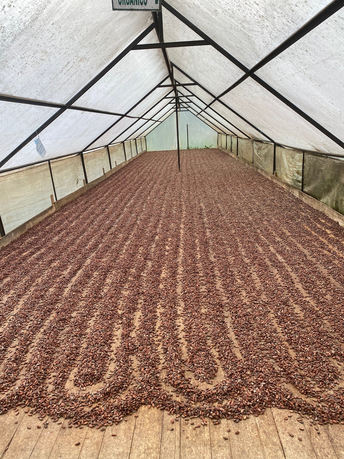 100% Pure Ceremonial Grade Cacao – 1oz Criollo Arriba Nacional (Ecuador)