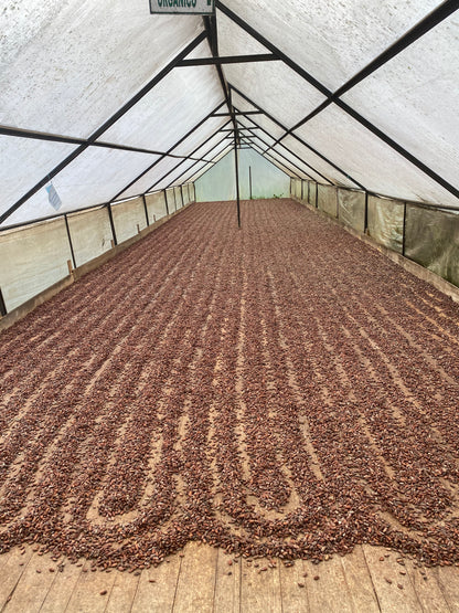 100% Pure Ceremonial Grade Cacao – 1oz Criollo Arriba Nacional (Ecuador)