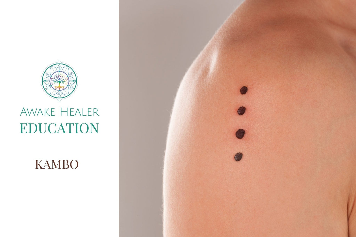 COURSE - Introduction to Kambo (Sapo)