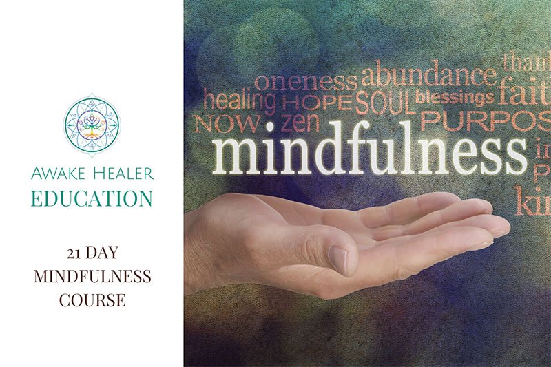 Course - 21 Day Mindfulness